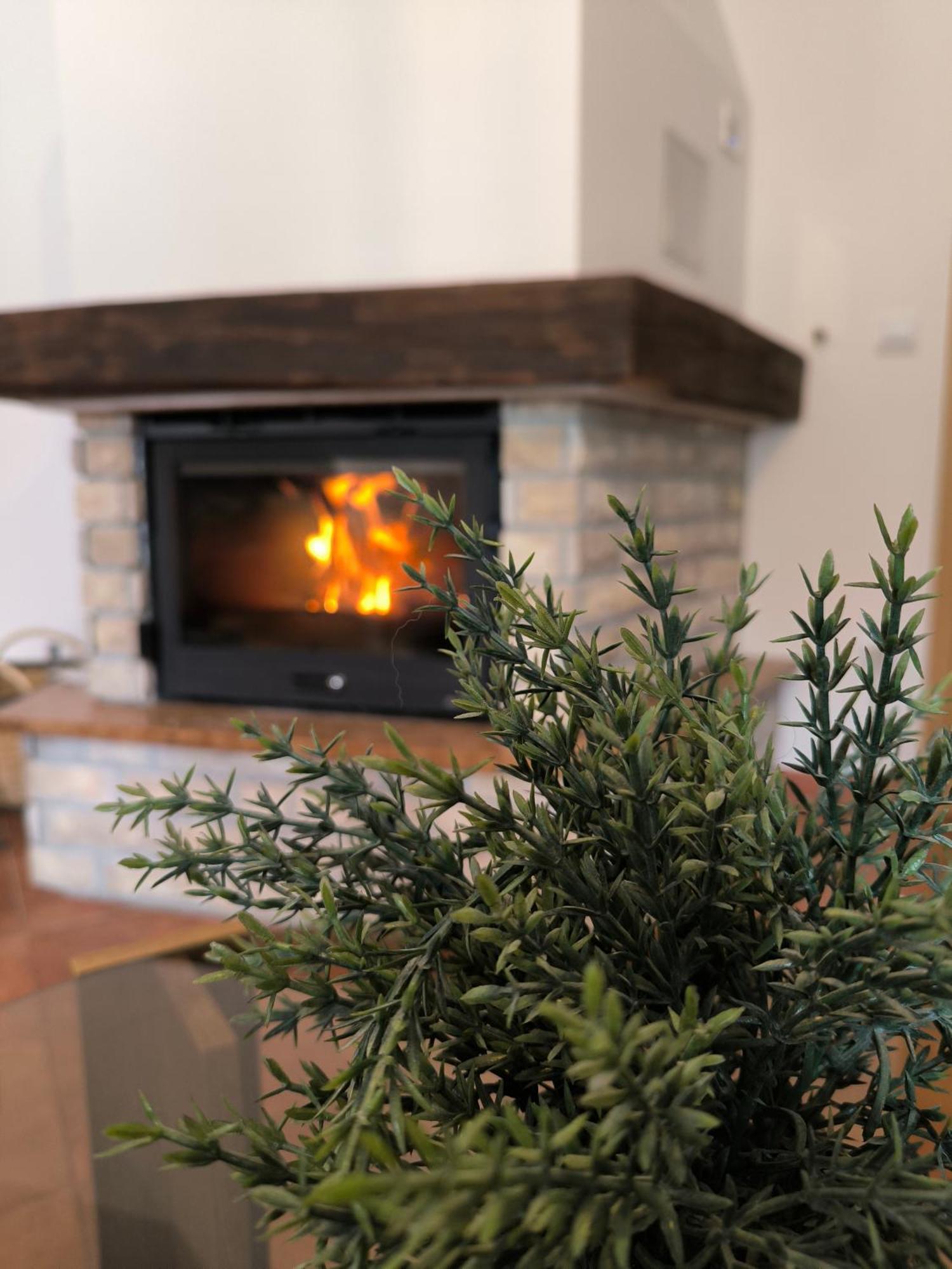 Holiday Home Tisa Rudanovac エクステリア 写真
